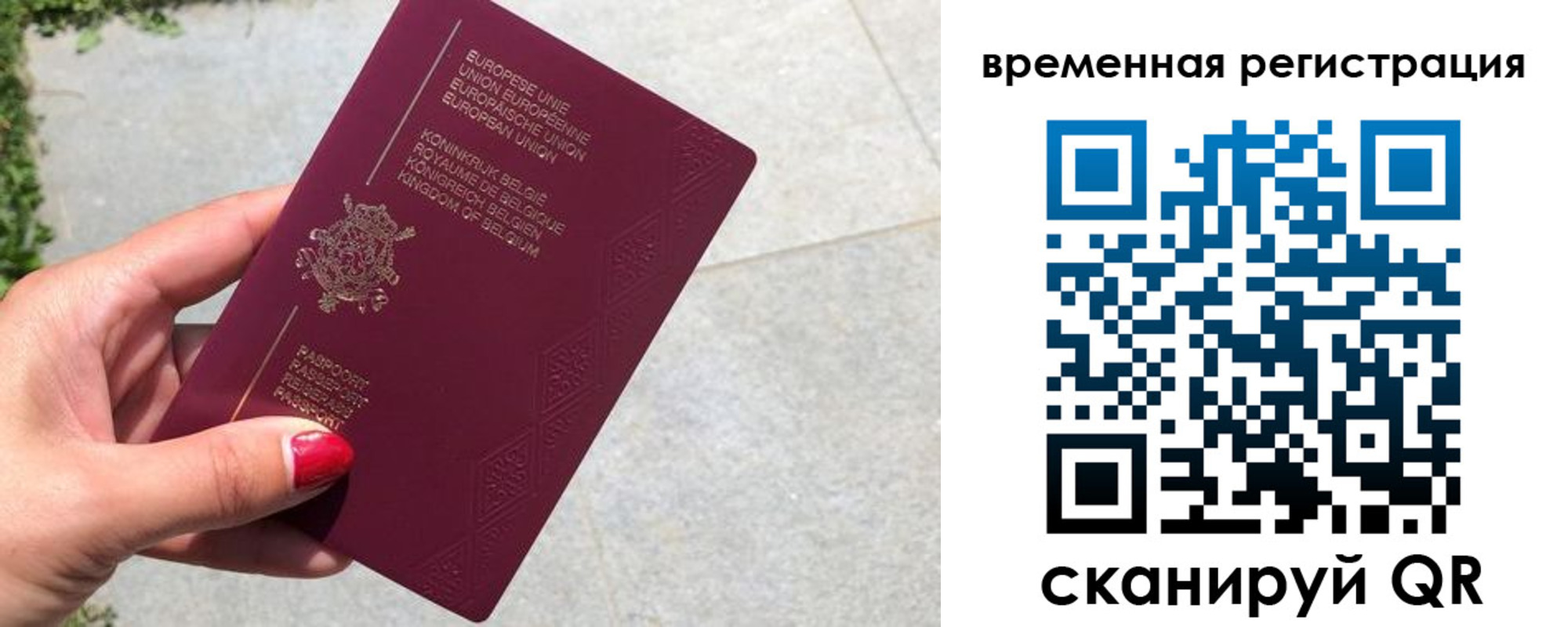 пропишу в квартире в Видном